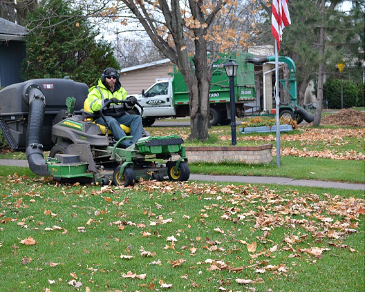 Lawn Cleanup in Fairfield